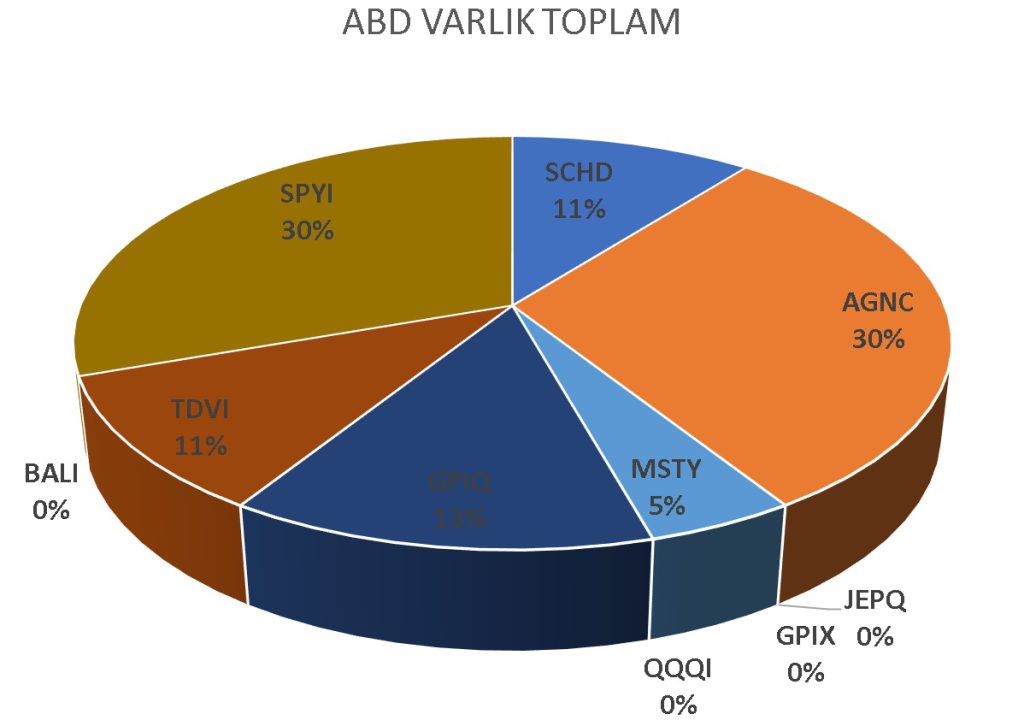 abd Borsası ETF Portföy