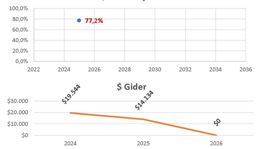 Yatırım ve Gider Artışı Temmuz 2025